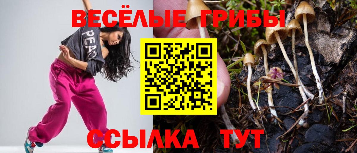 Сибай  Галлюциногенные грибы GOLDEN TEACHER  Вход с VPN  Галлюциногенные грибы мицелий 