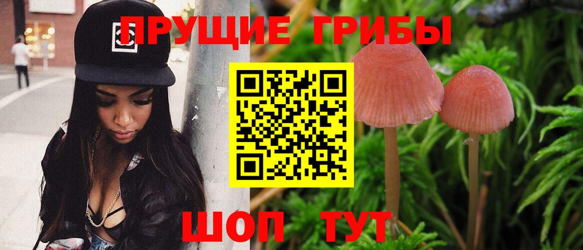 Галлюциногенные грибы MAGIC MUSHROOMS Сибай